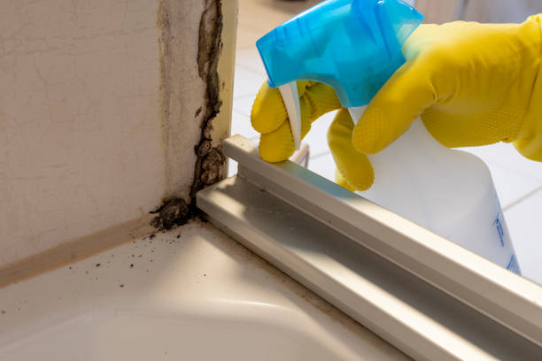 Crawl Space Mold Removal in Cornwall On Hudson, NY